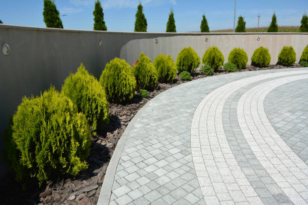 Best Local Driveway Pavers  in Fort Belknap Agency, MT